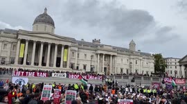 Hundreds of 'terror supporters' arrested at Palestine Action protest in London
