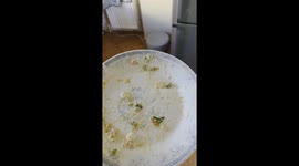 Excited dog accidentally breaks plate in Kazimierz Biskupi, Poland
