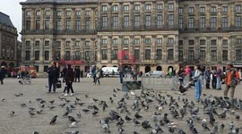 Amsterdam Royal Palace defaced with anti-Israel slogans on anniversary of October 7 attacks