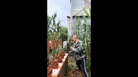 Man demonstrates brick-breaking strength in a cornfield in Liaoning, China