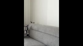 Toddler’s adorable hide and seek moment in Aksaray, Turkey