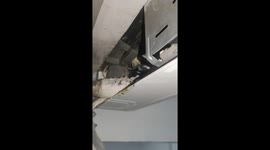 Bird hiding in air conditioning unit in Zhejiang, China
