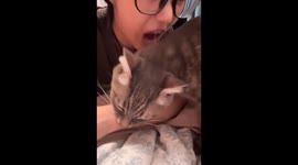 Playful mutual biting between owner and cat in Shandong, China
