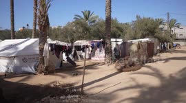 Gaza conflict deepens crisis for chronically ill elderly Palestinians