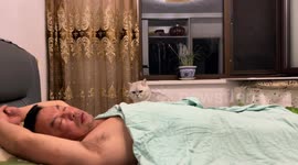 Caring cat gently wakes up its owner in Liaoning, China