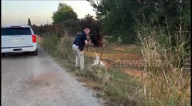 Police Free Trapped Fawn That Runs Straight Into Bucket