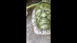 Frankenstein’s Pumpkin: How We Grew a Monster on our flower farm in Parker, Colorado! Part 1