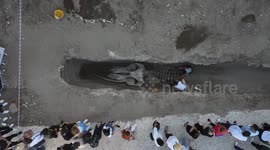Türkiye: Excavation underway in southern Türkiye to unearth 14-meter fin whale skeleton