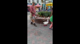 Goose on a Leash