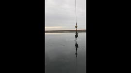 Oilfield Duck Rescue