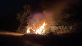 Car crashes into tree, catches fire in India