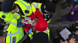 Thousands Detained In London As Police Crack Down On Palestine Action Protest