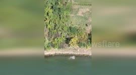 US: Suspect Swims Across Ohio River to Evade Capture, Apprehended by Drone Team