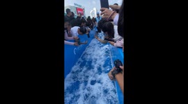 Penguins parade along icy chute at zoo in China