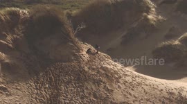 Dynamic Dunes: Witnessing Climate Change at Crantock Beach, UK