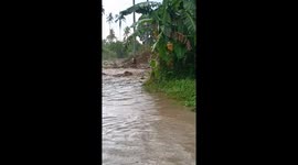 Man clings to tree during flash flood caused by creek overflow in Sarangani, Philippines