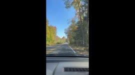 Autumn drive through colorful trees in Saratoga Springs, USA