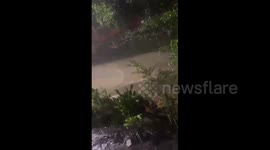 Honduras: Intense Rainstorm Causes Severe Flooding in San Antonio