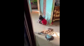 Toddler covered in cake cream delights in South Sumatra, Indonesia