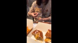 Cat refuses food before finally taking a bite in Shanghai, China