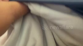 Owner finds cat sleeping with a silly face under blanket in Xinjiang, China