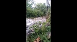 Terrifying floodwaters surge toward bridge in Bukidnon, Philippines