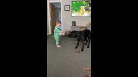 Toddler shares milk, Labrador shares moves—Jude and Miller’s living room dance delights 265.1k viewers