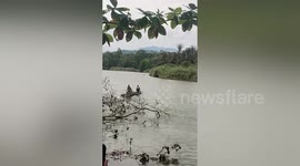 Grandmother, 54, killed by crocodile while washing clothes in river in Indonesia