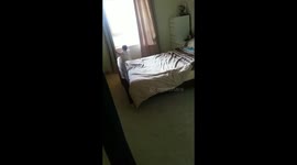 babies playing hide and seek