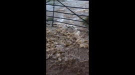 Cornish farm flooded during post-heatwave storm