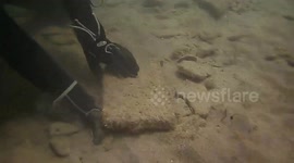Octopus Attack