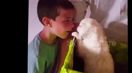Nine-year-old boy surprised with puppy, amazing reaction