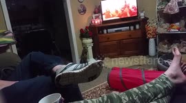 Cat plays fetch like a dog