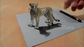 Drawing a 3D Cheetah, Amazing Animals, Illusionistic Art