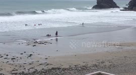 Horse throws off rider because it doesn't like the sea