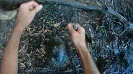 Dog helps man rescue stricken turtle