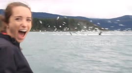 Tourists witness amazing whale 'feeding frenzy'