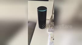 New Amazon Echo speaker 'stuck in an infinite loop'