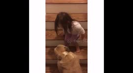 Erin and Harvey - Erin gives Harvey a pep talk to help him not be afraid to walk up the stairs