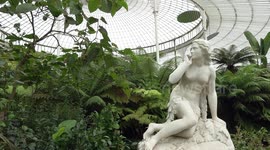 Glasgow Botanic Gardens,Scotland