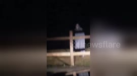 Man terrified as friend pranks him dressed as creepy clown