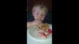Little Canadian boy falls asleep while eating