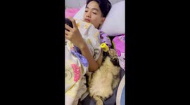 Cat looks annoyed when bottle is removed from its mouth