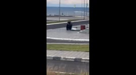 Bears spotted running through the streets in Kurilsk, Russia