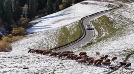 China: Xinjiang, Xizang see record tourist arrivals through cultural integration, infrastructure upgrades
