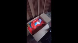 Abandoned baby found in cardboard box in Indonesia