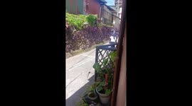 Philippines earthquake sends terrified pupils fleeing into street