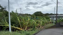 Japan: Typhoon Halong Leaves Trail of Damage