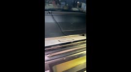 Mechanics rescue pet bush baby trapped inside car dashboard