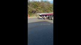 Dog spotted riding motorbike on M1 - TikTok clip hits 1 million views